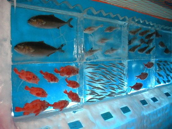 Frozen aquarium, Kesennuma, Miyagi Prefecture