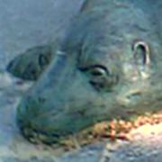 Seal playground, East River Park, NYC, 7/6/03