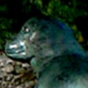 Seal playground, East River Park, NYC, 7/6/03