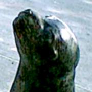Seal playground, East River Park, NYC, 7/6/03