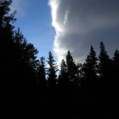 Plumas National Forest, near Milford, CA, 5/2/2007