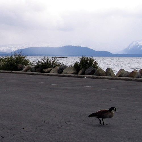 South Shore, Lake Tahoe, Nevada, 5/3/2007