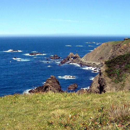 Navarro Point Preserve and Scenic Trail, Mendocino County, CA, 5/6/2007