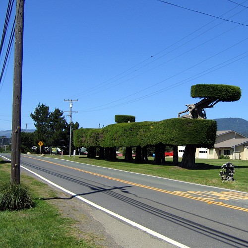 Topiary, Mendocino County, CA, 5/6/2007