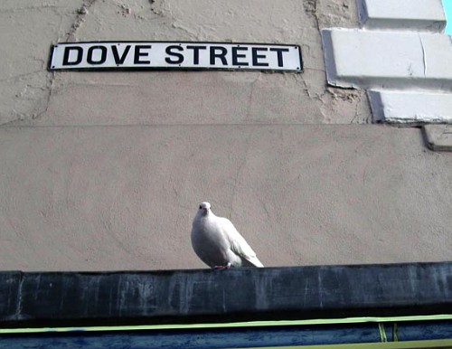 Dove Street