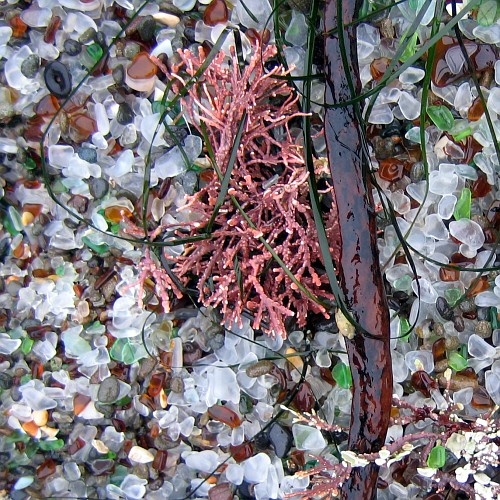 Glass Beach, Ft. Bragg, CA, 12/29/2007