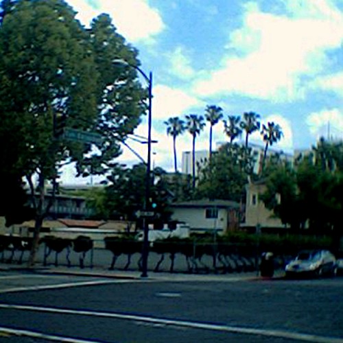 sanjose20090606__0011