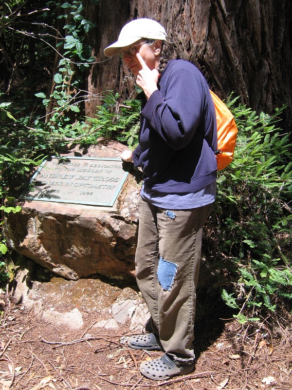 Muir Woods, July 5, 2010