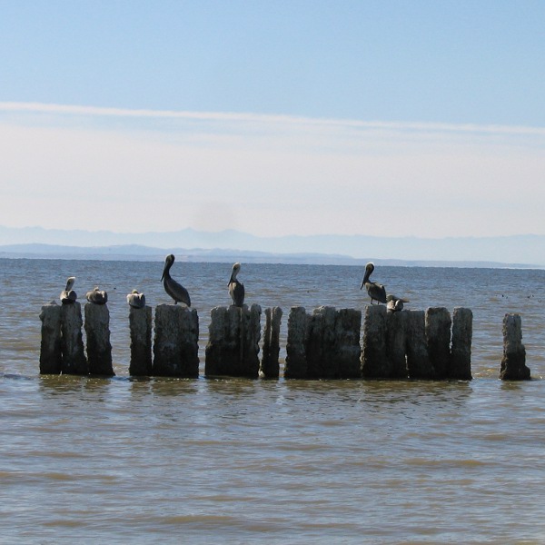 Salton Sea, January 1, 2011